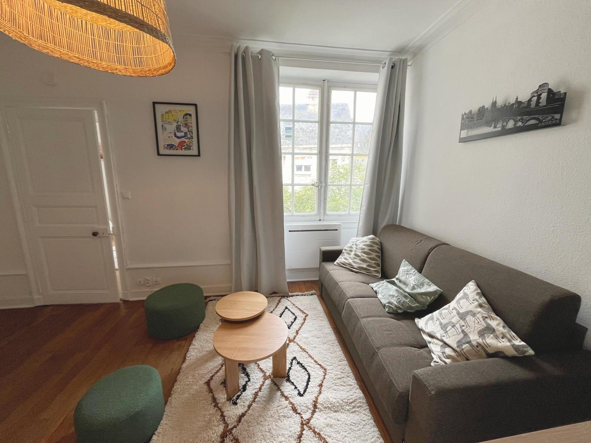 Le Cocon Angevin Apartment Анже Екстериор снимка