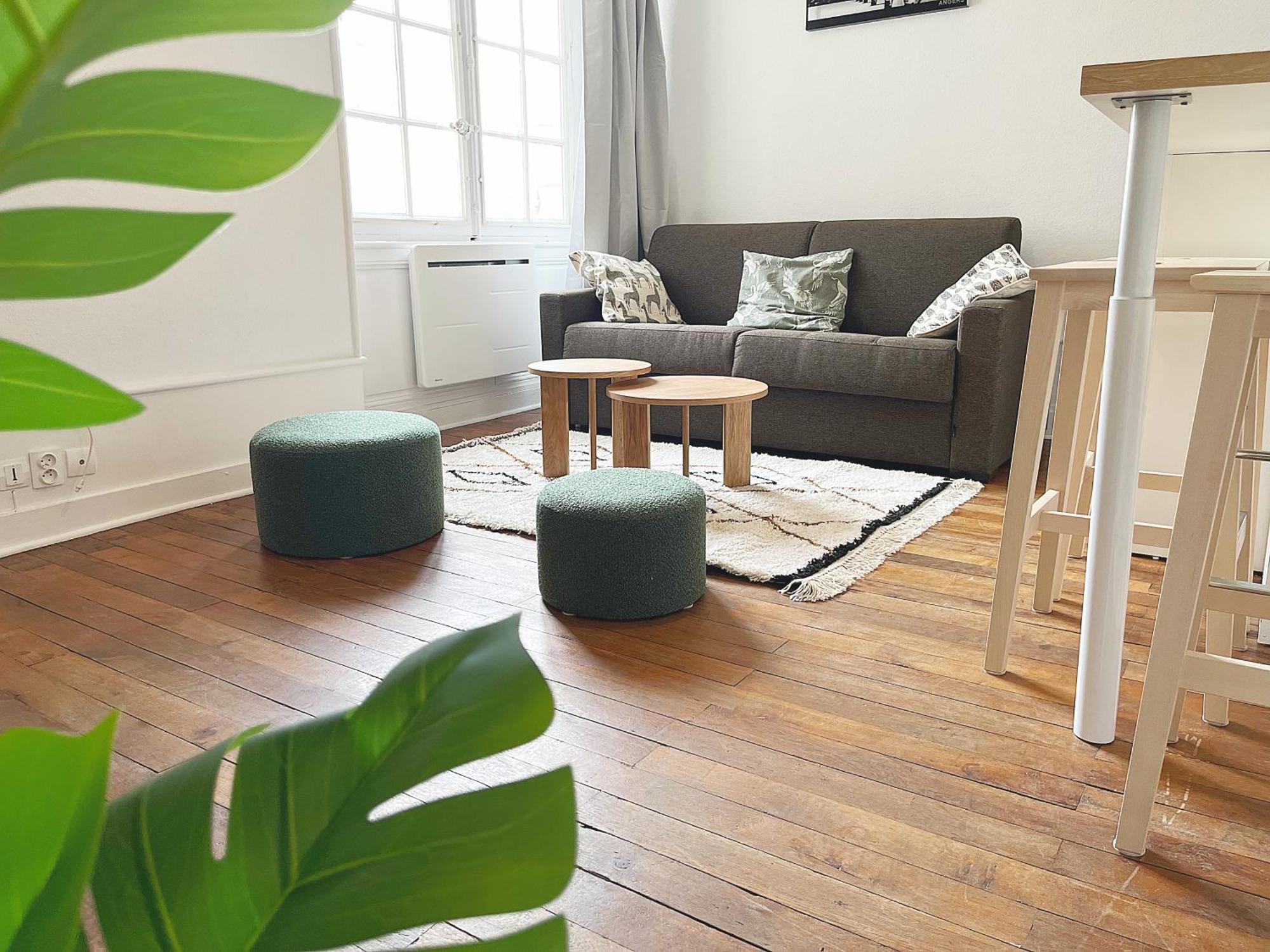 Le Cocon Angevin Apartment Анже Екстериор снимка